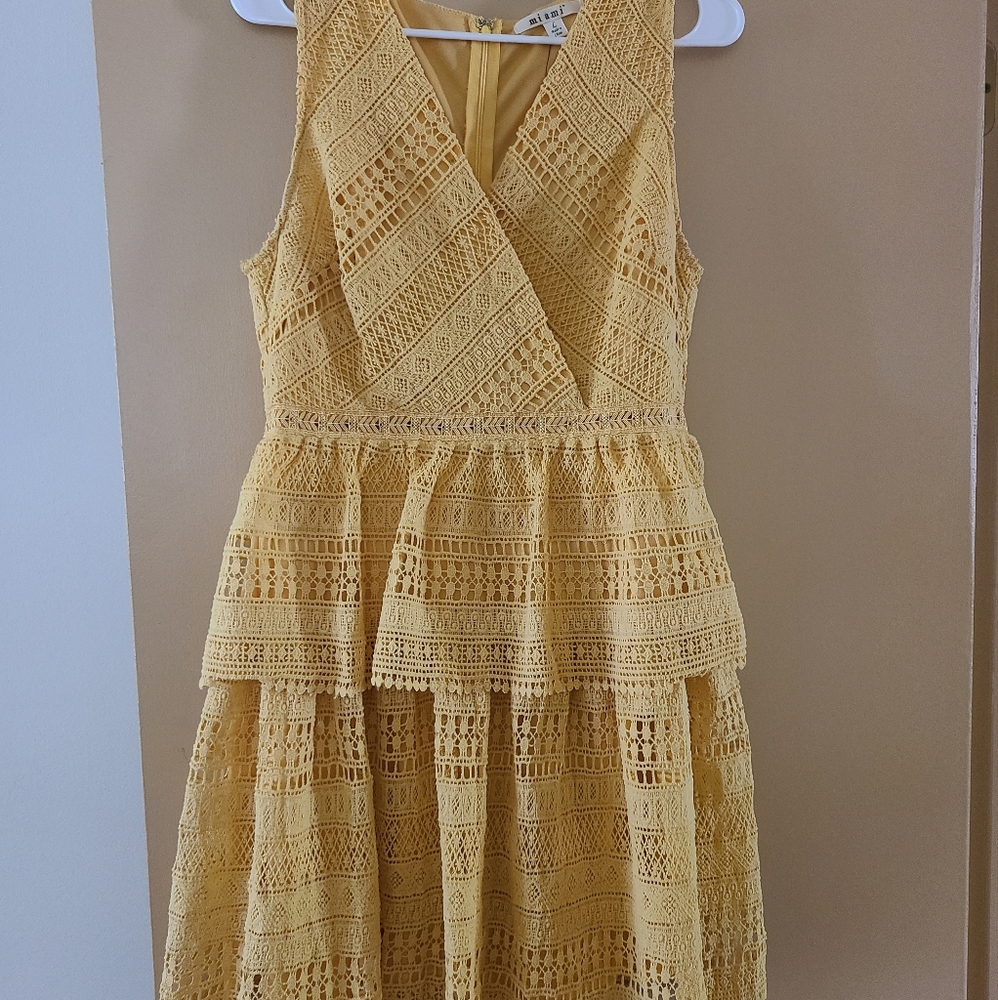 Francesca's Dress